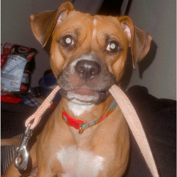 Meet your Posher, Matthew - Picture 1 of 1